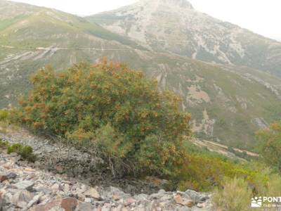 Sierra de Francia: naturaleza que inspira; pantalon senderismo sendero del valle pantalones trekking